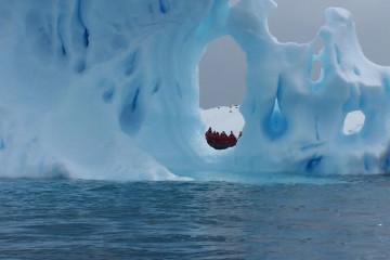 This Wild Iceberg Scheme Could Help Sustain the World's Thirstiest Regions